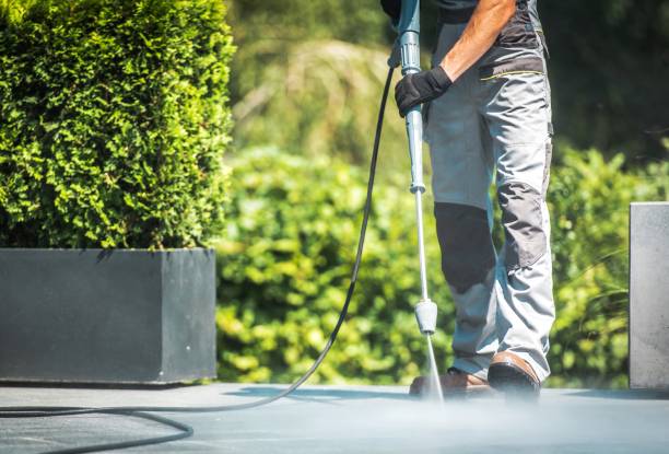 Pre-Holiday Cleaning in San Mateo, CA