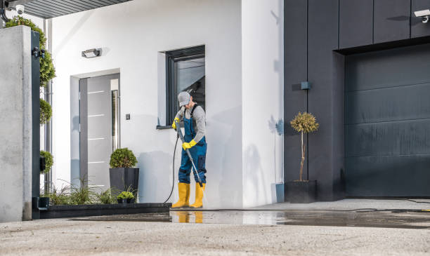 Animal Enclosure Cleaning in San Mateo, CA